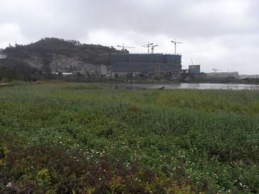 e0155771_0383836.jpg