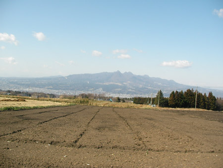 c0066693_16372546.jpg