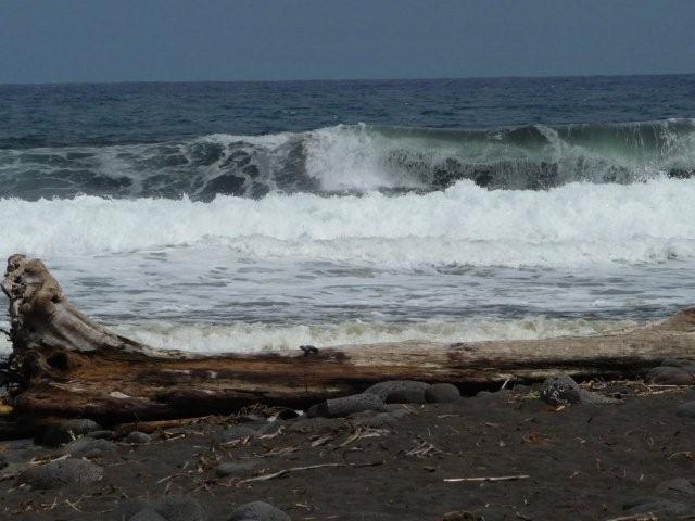 e0038100_5333465.jpg