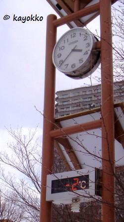e0007801_6595610.jpg