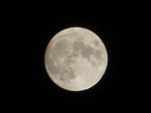 b0055202_27501.jpg