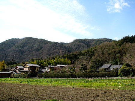 嵯峨野 落柿舎あたり1_e0048413_2214973.jpg