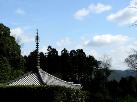 嵯峨野 落柿舎あたり1_e0048413_22151140.jpg