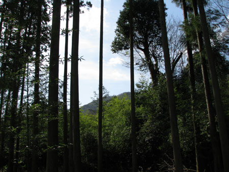 嵯峨野 落柿舎あたり1_e0048413_22152662.jpg