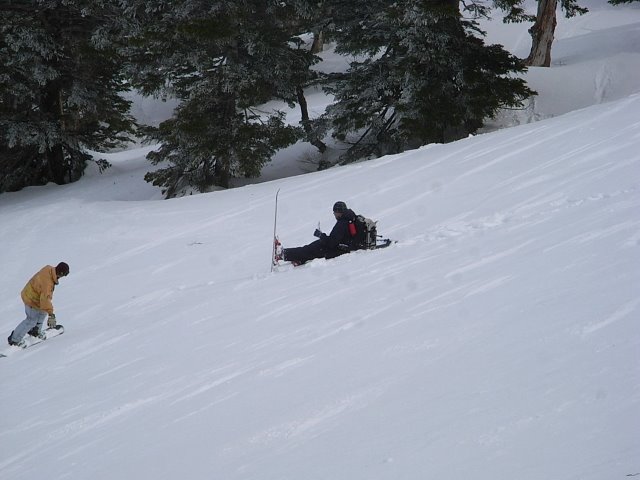 e0067218_8232752.jpg