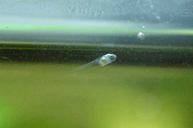 c0101419_3345947.jpg