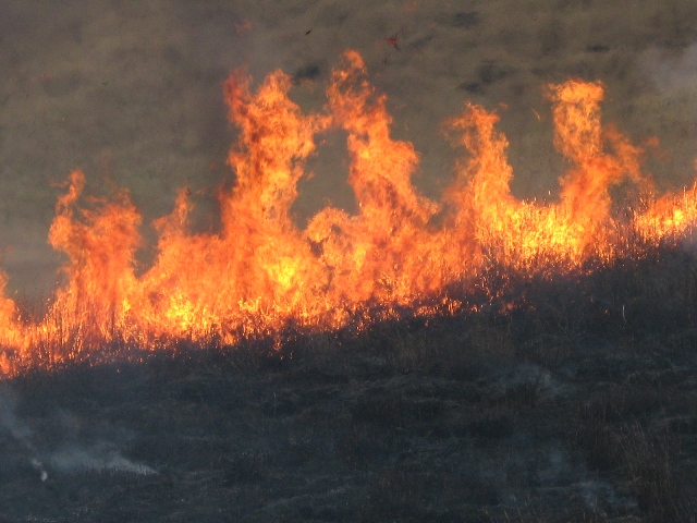 f0000330_22435994.jpg