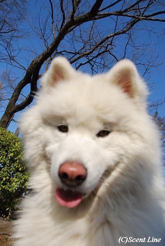 もうすでに_c0099133_1842257.jpg