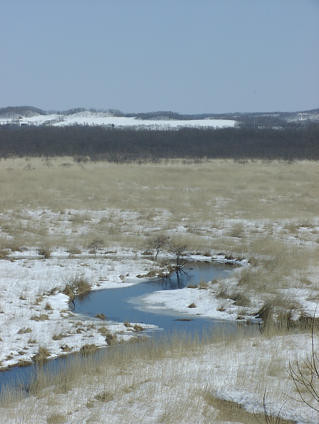 春を待つコッタロ湿原　３月１１日_f0113639_16481512.jpg