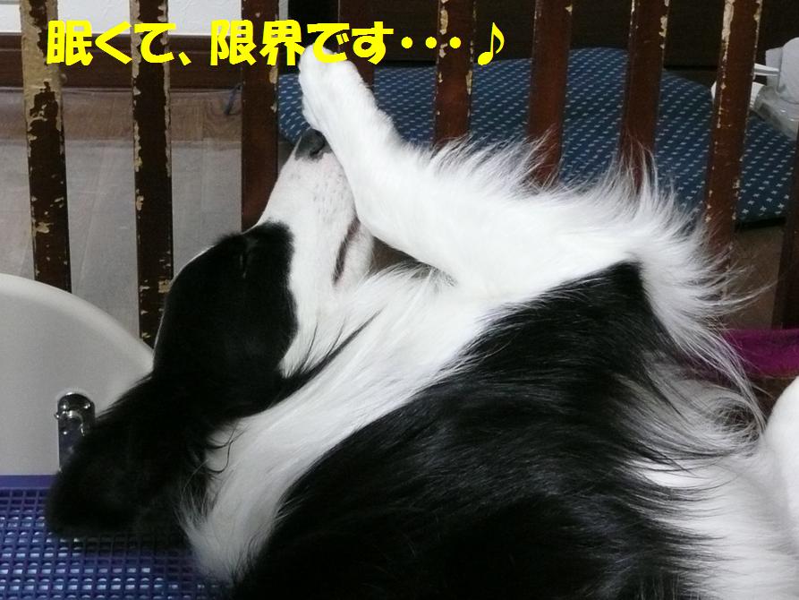 c0147241_2131641.jpg