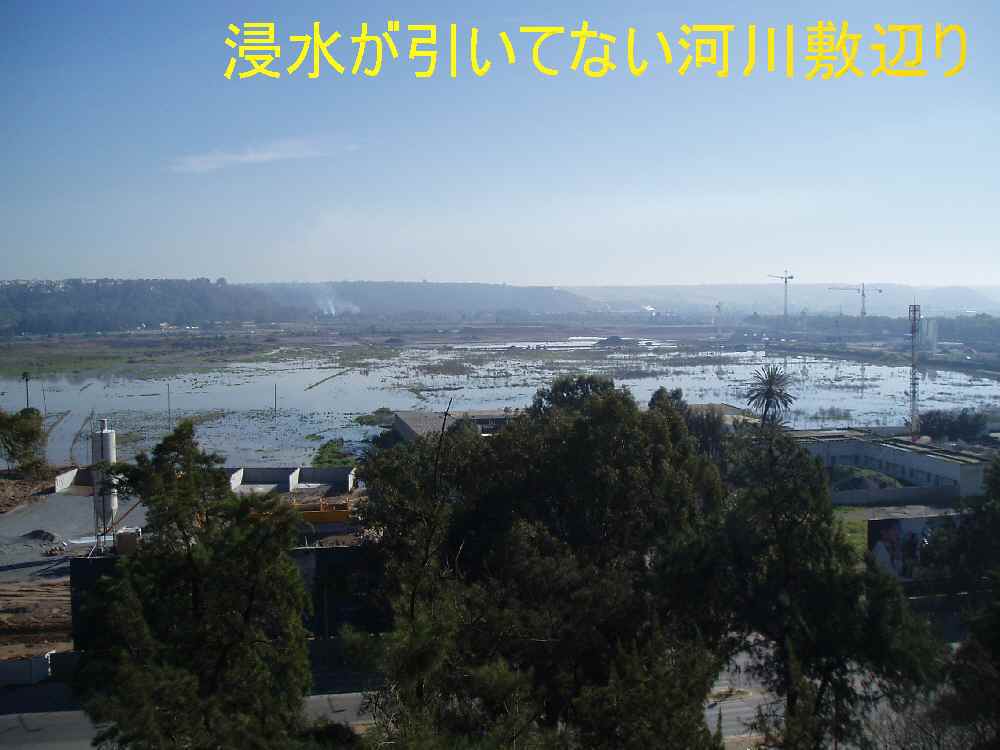 b0082147_1212845.jpg