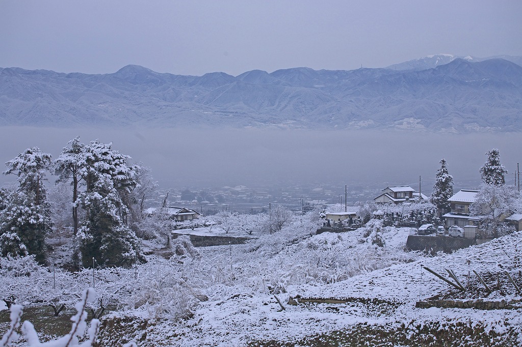 e0163149_1944054.jpg