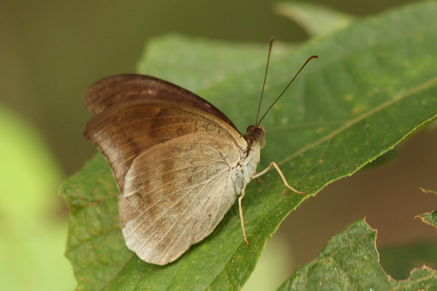 a0094850_21262936.jpg
