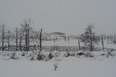 八色の公園の雪降り_a0084753_15312363.jpg