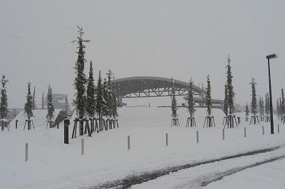 八色の公園の雪降り_a0084753_15313836.jpg