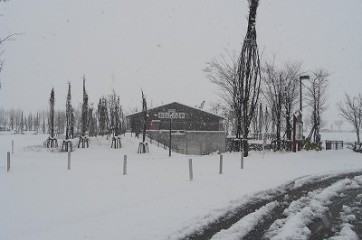 八色の公園の雪降り_a0084753_15315499.jpg