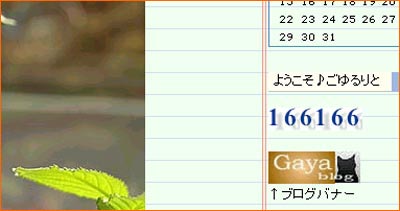 ☆ねこだらけ☆_c0092953_6203949.jpg