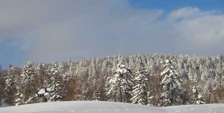 f0083977_6026100.jpg