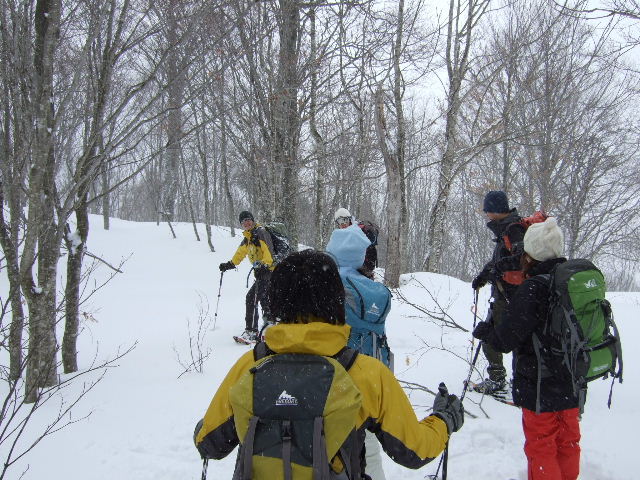 雪の”裏見の滝”へ_a0094280_16375934.jpg