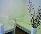 桜咲く　in clinic_b0117785_13554545.jpg