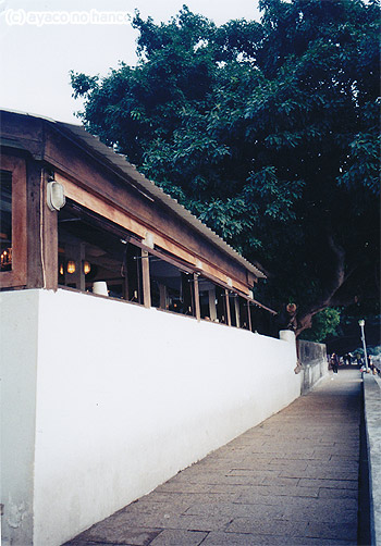 e0171089_2054895.jpg