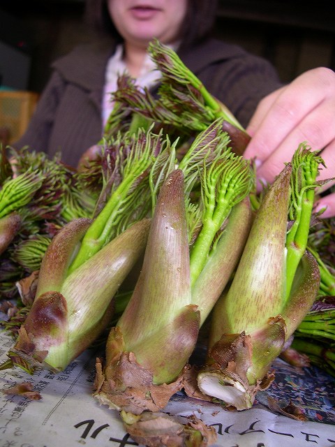 e0145693_0292455.jpg