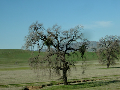 f0130693_156638.jpg