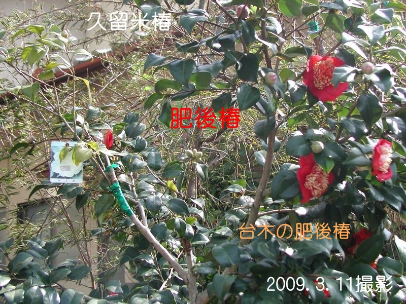 f0059498_15203130.jpg