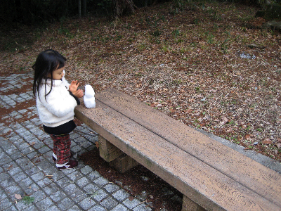 e0076000_2331867.jpg