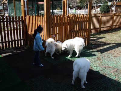 d0149103_2374991.jpg