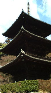 三井寺(みいでら)_f0144003_23302815.jpg