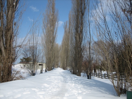a0058005_17363276.jpg