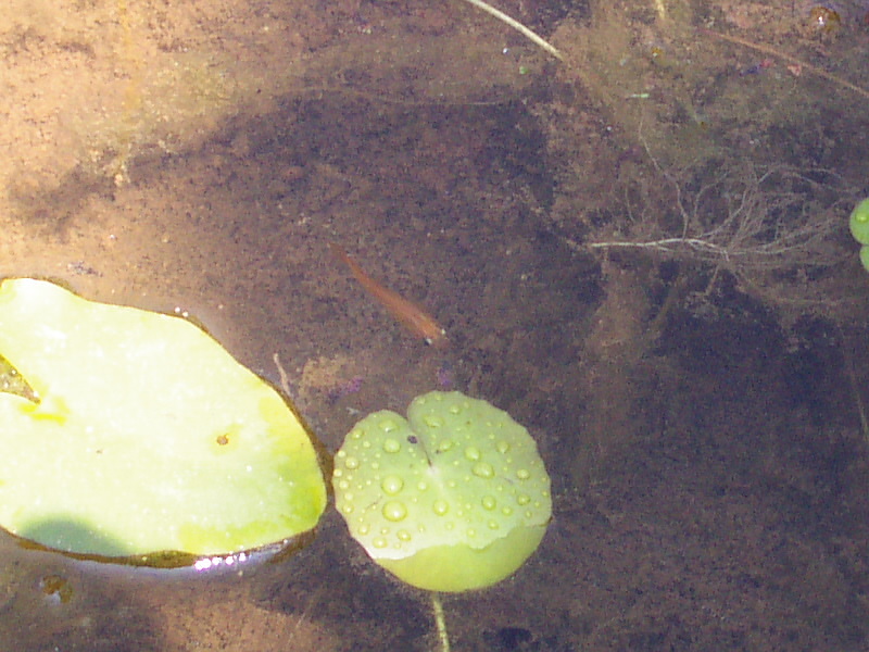 e0175905_21193124.jpg