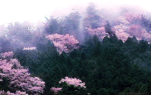 c0155906_21221415.jpg