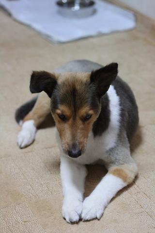 e0100007_1125772.jpg