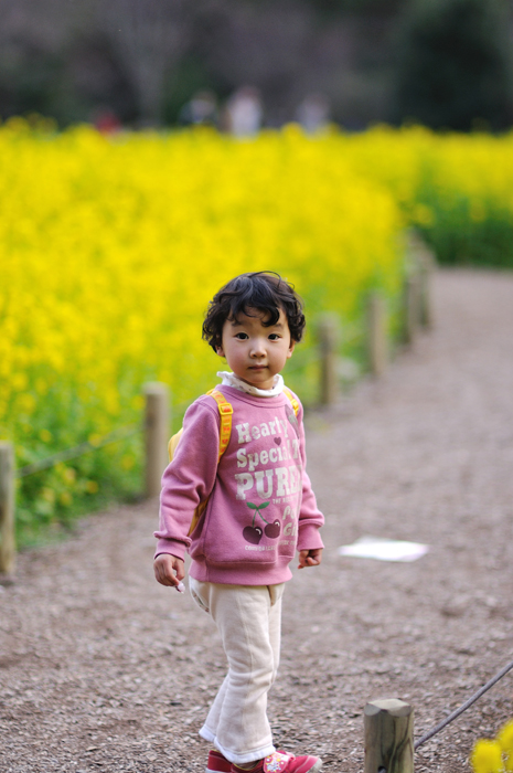 梅と菜の花_e0101209_21215124.jpg