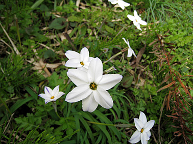 c0163810_0434321.jpg