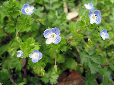 c0163810_043599.jpg