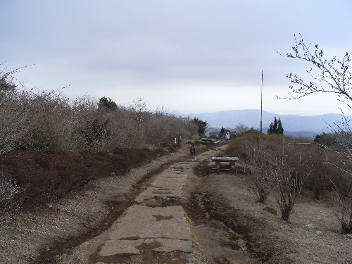 f0006510_20221723.jpg