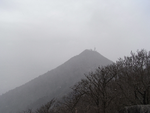 f0006510_2025243.jpg