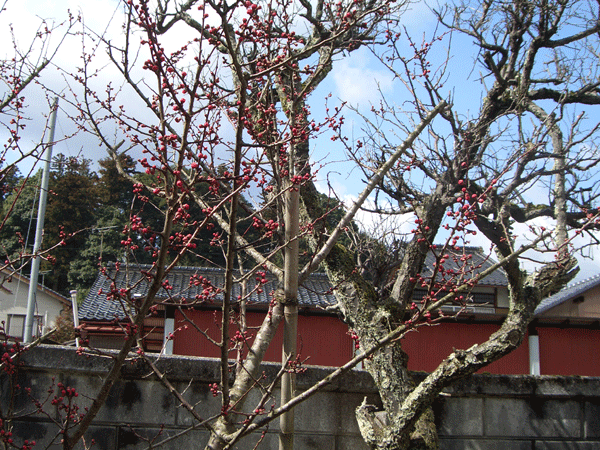 b0159611_17521114.gif