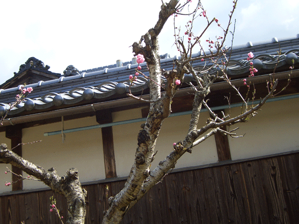 b0159611_1753856.gif
