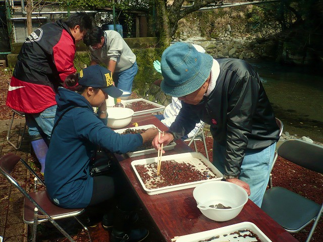 f0182513_2352373.jpg