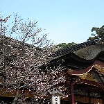 e0114015_15163645.jpg
