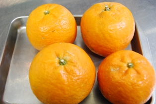 タンカン_e0025817_1431745.jpg