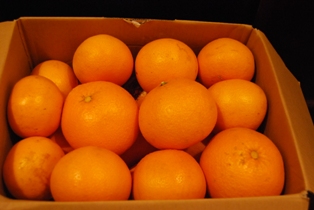 タンカン_e0025817_2131262.jpg