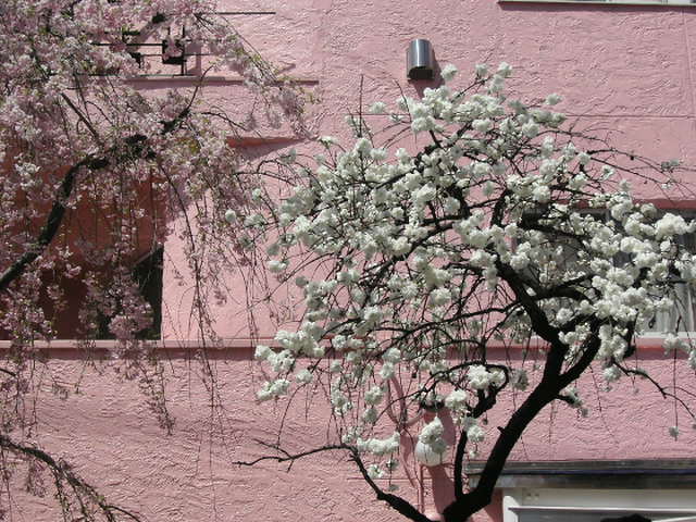 c0172620_10592041.jpg