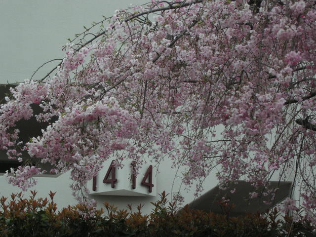 c0172620_1116082.jpg