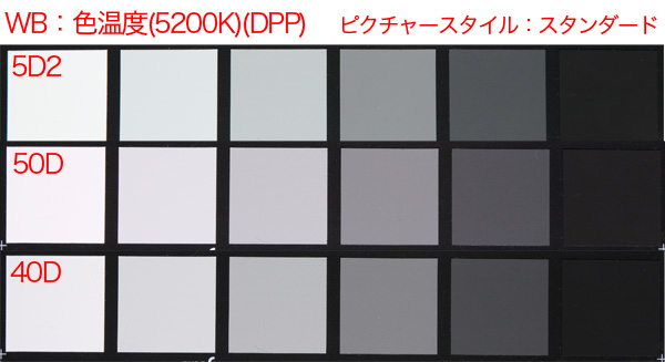 f0077521_19202669.jpg