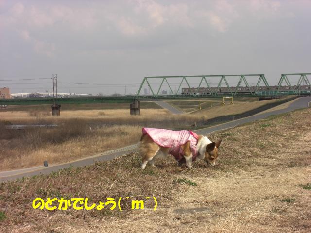 f0182121_1043365.jpg